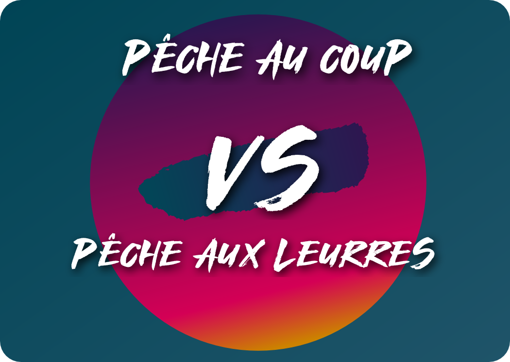 You are currently viewing Pêche au coup vs pêche aux leurres