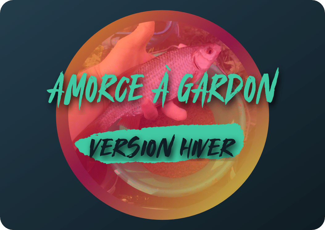 You are currently viewing Amorce à gardon: version hiver