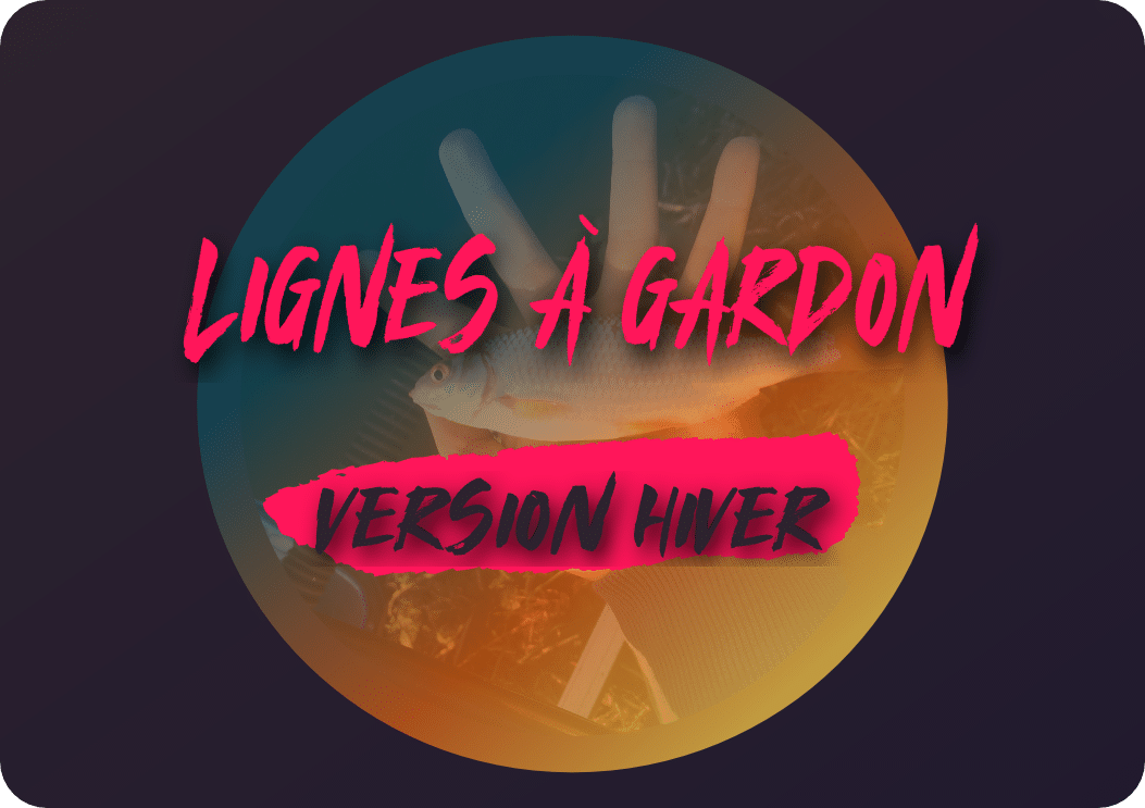 You are currently viewing Lignes à gardon: version hiver