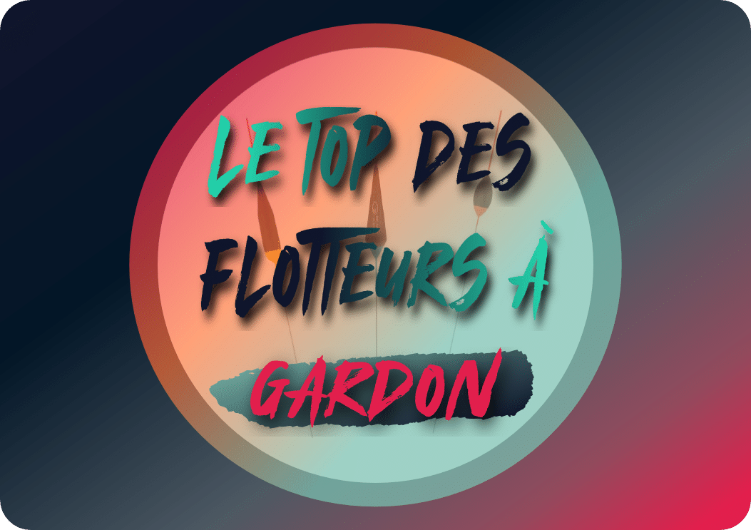 You are currently viewing Le top des flotteurs à gardon