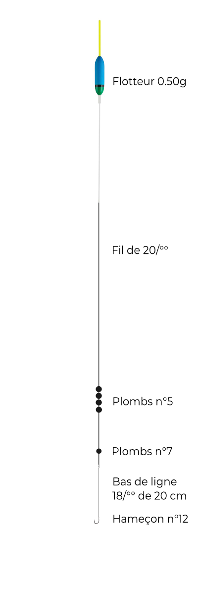 schéma montage ligne carpodrome