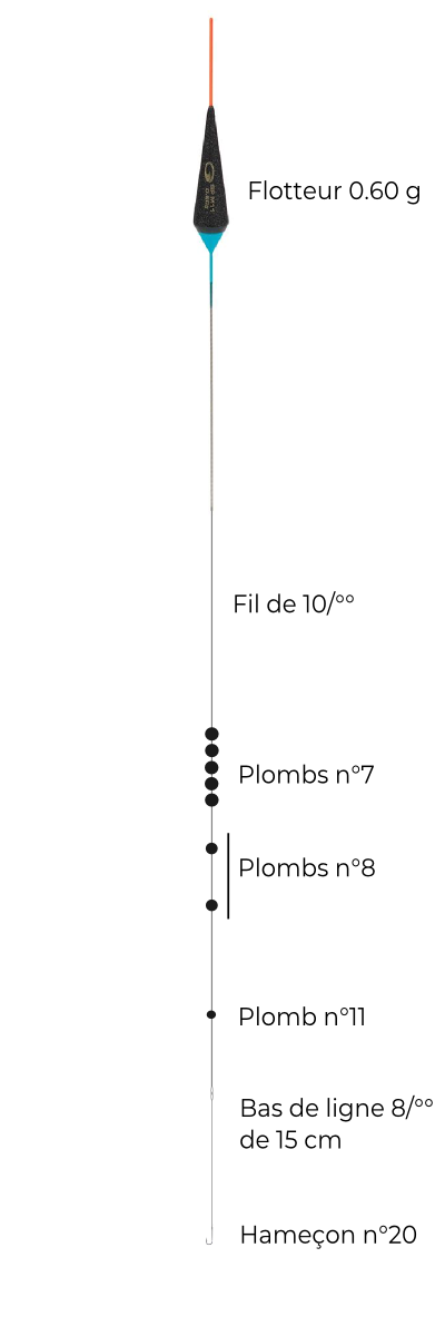 schéma montage etang gardon garbolino