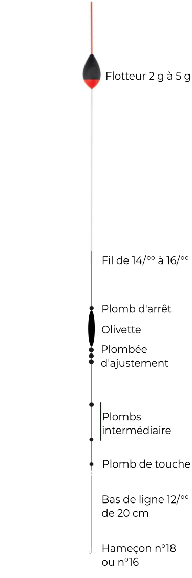 schéma montage ligne rivière gros gardons brèmes