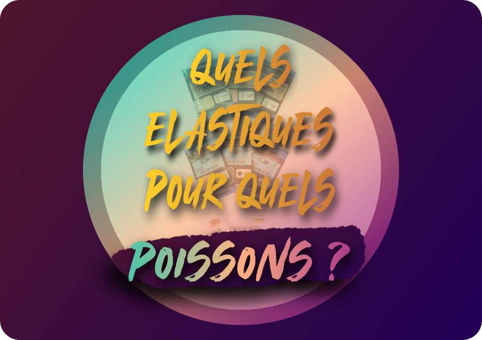 You are currently viewing Quels élastiques pour quels poissons?