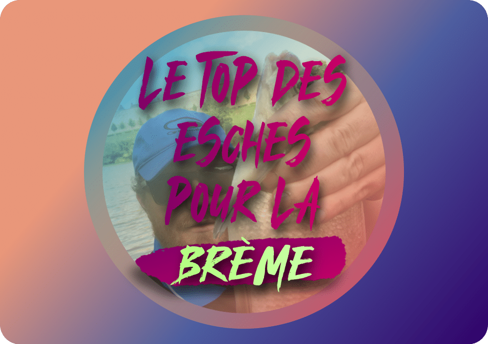 You are currently viewing Le top des esches pour la brème