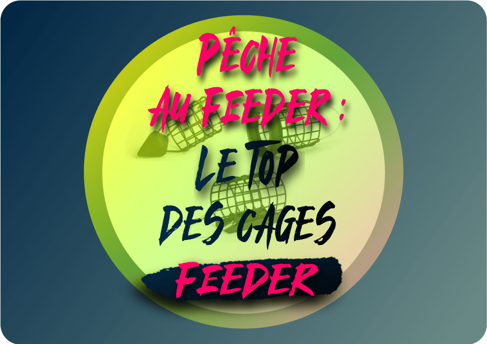 You are currently viewing Pêche au feeder : le top des cages feeder