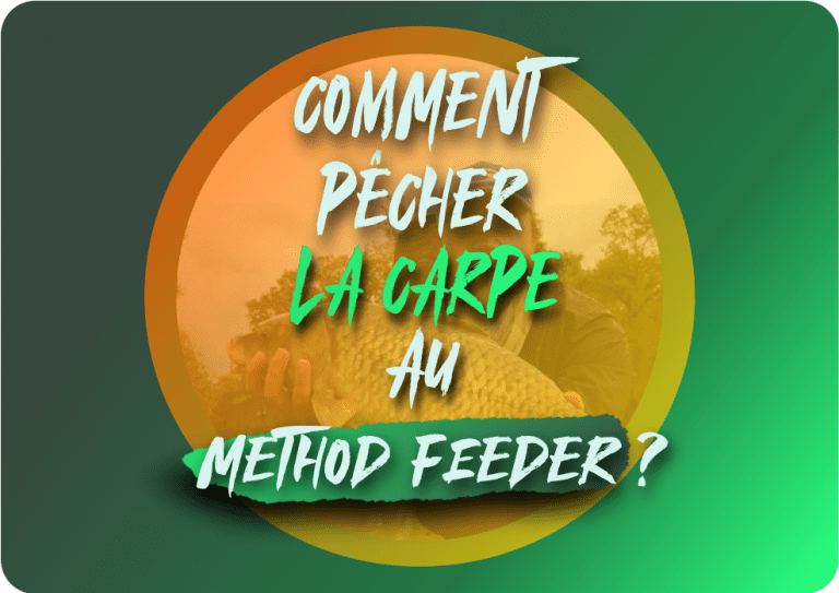 Lire la suite à propos de l’article Comment pêcher la carpe au method feeder ?
