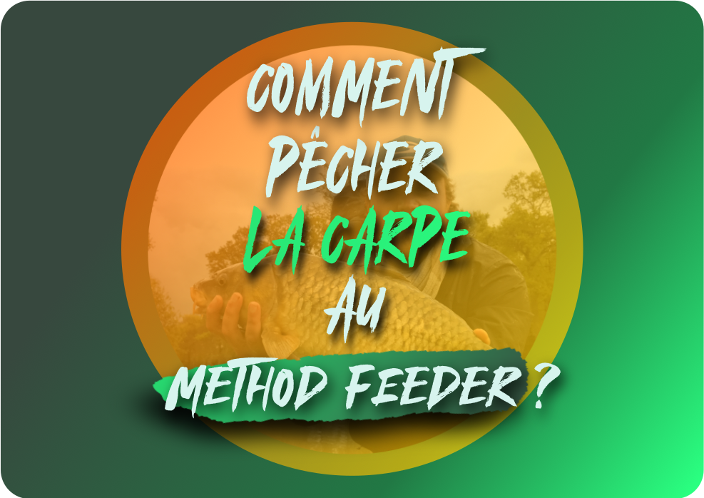 You are currently viewing Comment pêcher la carpe au method feeder ?