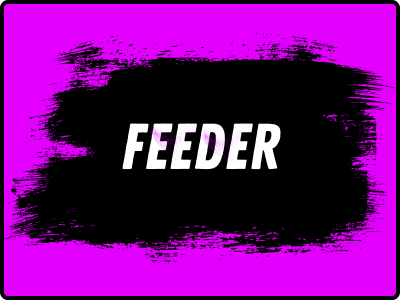 bouton catégorie article feeder