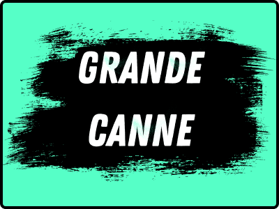 bouton catégorie article grande canne