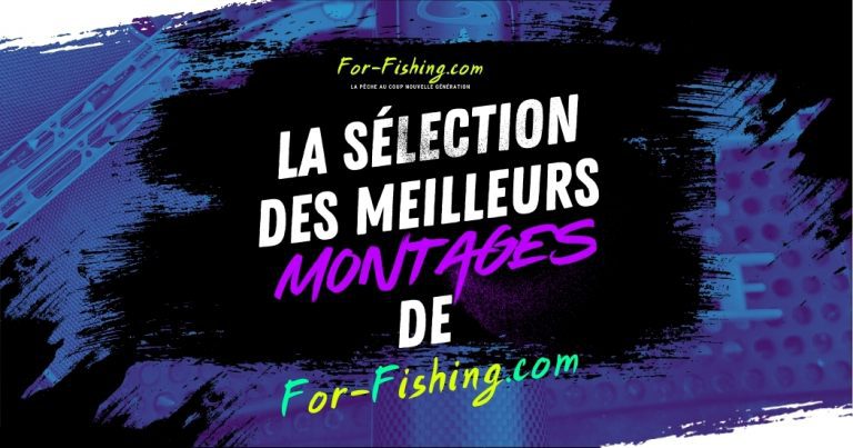 Lire la suite à propos de l’article La sélection des meilleurs montages de For Fishing