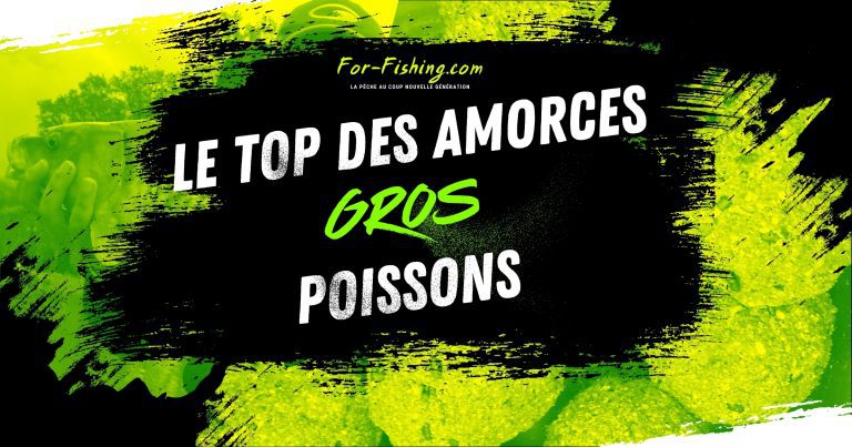 Lire la suite à propos de l’article Le top des amorces gros poissons