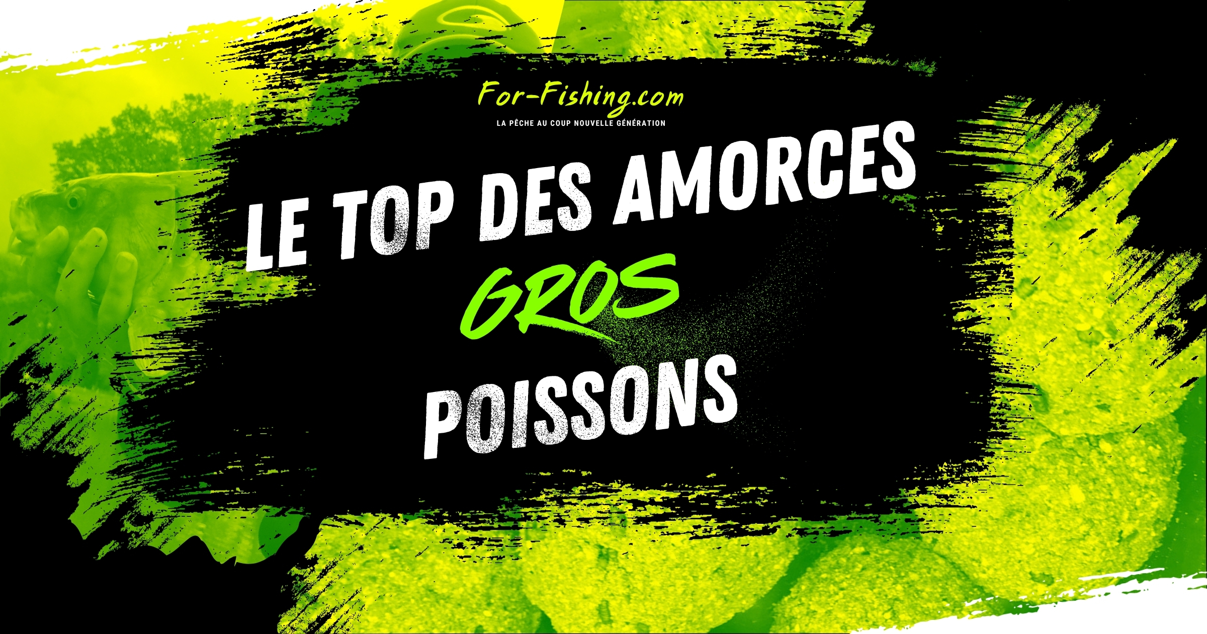 Le top des amorces gros poissons