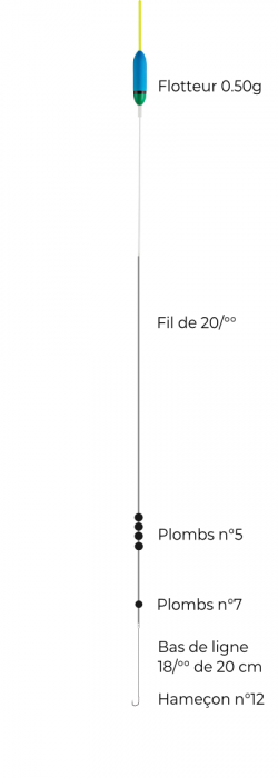schéma montage ligne carpodrome